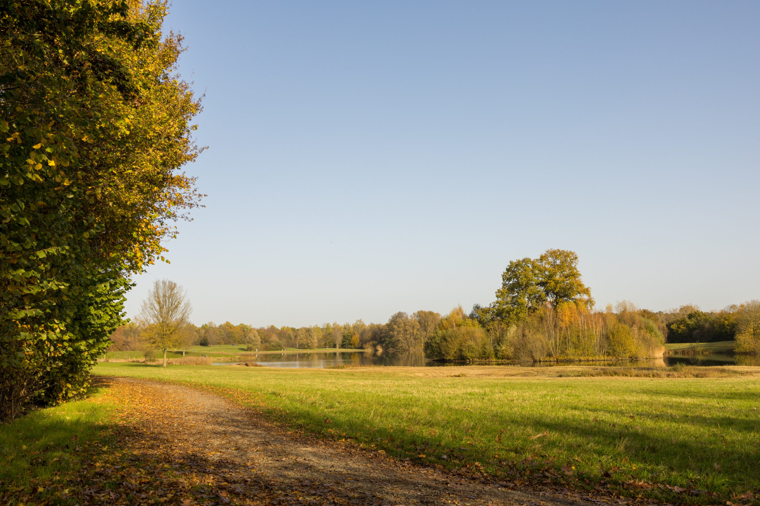 Gebiet Der "großen Aue" In Espelkamp, Kreis Minden, Nrw, Deutschland